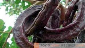 Locust Bean Gum (E410): Effetto sul corpo