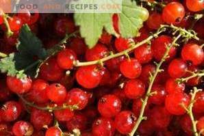 Как да замразите червеното грозде
