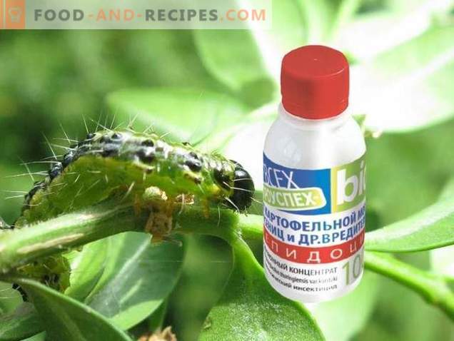 Lepidocide е ефективно лекарство срещу вредители, които се хранят с листа